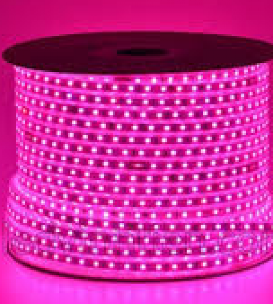 DÂY LED 2835 220V- ÁNH SÁNG HỒNG