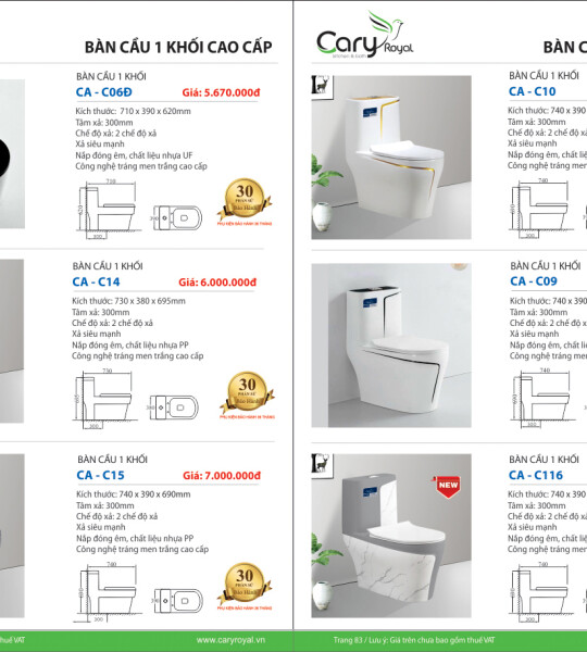 BÀN CẦU 1 KHỐI CAO CẤP -CARY ROYAL 2023 CHIẾT KHẤU TỪ 55% - 60%