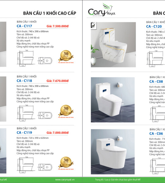 BÀN CẦU 1 KHỐI CAO CẤP -CARY ROYAL 2023 CHIẾT KHẤU TỪ 55% - 60%