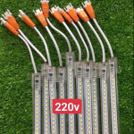 Bộ Thanh Led 1m 2835  220V Ánh Sáng Trắng - Vàng