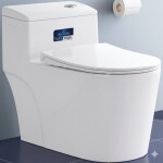 Bàn cầu CaryRoyal CA - C06