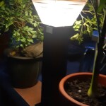 ĐÈN TRỤ LED NLMT CAO 60CM 3 CHẾ ĐỘ